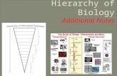 Hierarchy of biology additional notes
