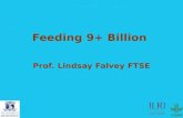 Feeding 9 billion