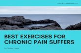 Samad Oraee - Best Exercises for Chronic Pain Suffers