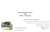 Hand biomechanics and basic functions