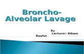 Broncho-Alveolar Lavage