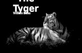 The tyger by William Blake