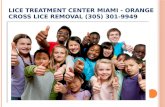 Lice Treatment Center Miami