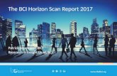 BCI Horizon Scan 2017
