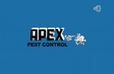 Quality Pest Control Services - Apex Pest Control