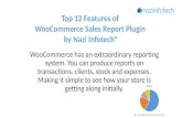 Ni Woocommerce Sales Report Pro