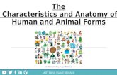 The Characteristics and Anatomy of Human and Animal Forms  (Download to Play Videos and see Text)