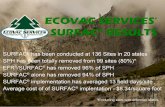 Updated SURFAC Summary and Statistics 3/19/16