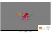 Ekta Iris Brochure - Zricks.com