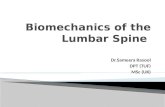 Biomechanics of  spine