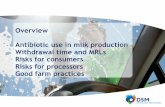 Antibiotic Residues In Milk, Risk For Consumers And Processors
