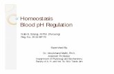 Homeostasis and blood pH regulation, Mubasher