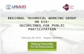 Regional Technical Working Group on EIA: Guidelines for Public Participation
