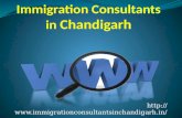 Immigration consultants in chandigarh