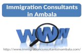 Immigration consultants in ambala