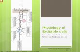 Session 2: Physiology of excitable cells