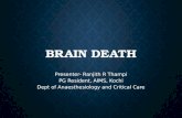 Brain Death and Preparation for Organ Donation