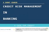 CREDIT RISK MANAGEMENT IN BANKING: A CASE FOR CREDIT FRIENDLINESS