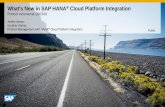 What’s New in SAP HANA Cloud Platform, integration service? Q3/2016