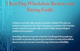 5 best dog wheelchair reviews and buying guide