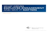 Employee Engagement and Why It Matters- MSW