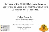 Odyssey Of The IWGSC Reference Genome Sequence: 12 Years 1 Month 28 Days 11 Hours 10 Minutes And 14 Seconds