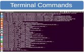 Terminal Commands  (Linux - ubuntu) (part-1)