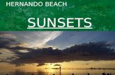 Hernando Beach Sunsets