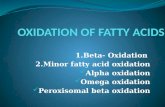 Fatty acid oxidation ( Beta , Alpha omega and peroxisomal)