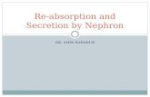 Re absorption and secretion by nephron