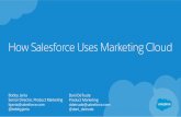 How Salesforce Uses Marketing Cloud