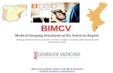 Presentación del nodo Valenciano en Bonn en el comité de Euro-BioImaging