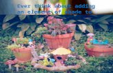 Myra’s garden flower garden ideas