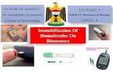 Immobilization of-biomolecules-on-biosensors