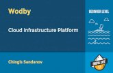 Wodby. cloud infrastructure platform