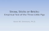 Straw, Sticks or Bricks