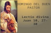 Lectio Divina IV domingo de pascua