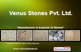 Granite Stone by Venus Stones Pvt Ltd Jaipur