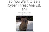 bsides NOVA 2017 So You Want to Be a Cyber Threat Analyst eh?