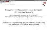 Ecosystem service assessment in European silvopastoral systems