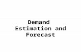 Demand Estimation and Forecast