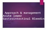 emergency approach & management of lower gastrointestinal bleed