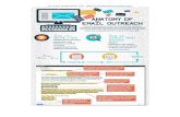 How to create a blogger outreach marketing email infographic