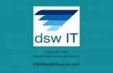 DSW Brand IT Services Google Mice Update PowerPoint