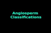Angiosperm classifications