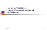 KEDEM PRODUCTS OVERVIEW