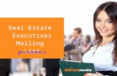 Real estate executives mailing list