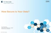 Ibm ofa ottawa_ how_secure_is_your_data_eric_offenberg