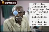Washington Group Annual Meeting: Piloting disability disaggregation in routine data collection – a pilot in eye health