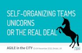 Self-organizing Teams. Unicorns or the Real Deal. A presentation about Management 3.0 and Agile approach.